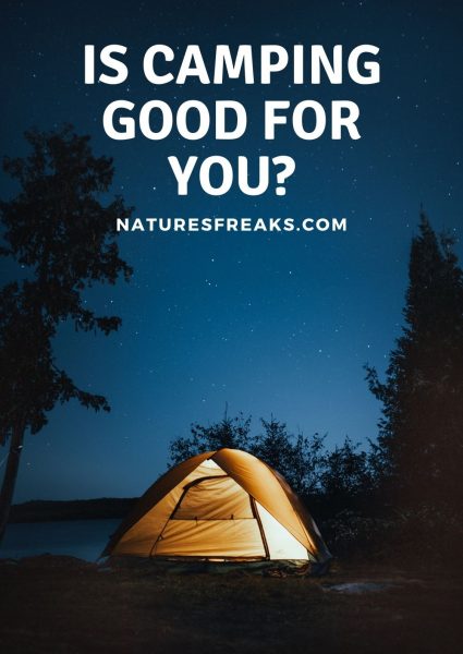 is camping good for you